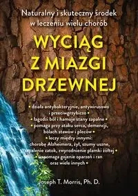 Wyciąg z miazgi drzewnej (dodruk 2024) - Morris Joseph T., Ph. D.