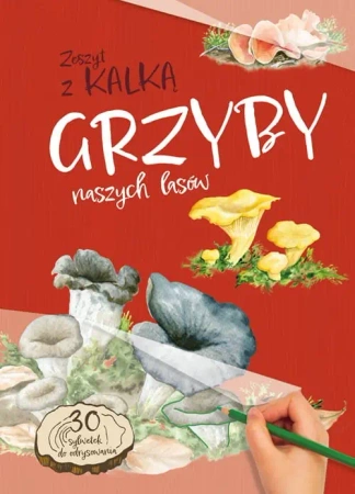 Grzyby Naszych Lasów. zeszyt z kalką - Katarzyna Kopiec Sekieta