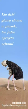 Zakładka do książki. Kto dziś chowa głowę w piasek...
