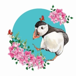 Karnet Swarovski kwadrat CL2001 Maskonur - Clear Creations