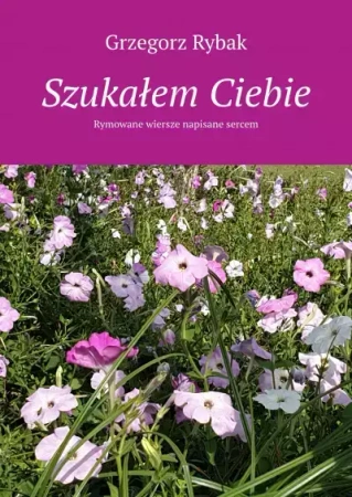 Szukałem Ciebie - Grzegorz Rybak