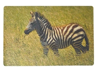 Podkładka na biurko piankowa zebra 60x40cm - ADAR