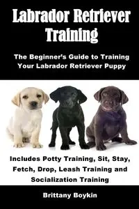 Labrador Retriever Training - Brittany Boykin