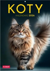 Kalendarz 2026 A4 Wieloplanszowy Koty - O-press