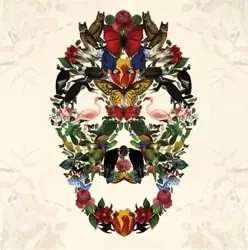 Karnet kwadrat z kopertą Skull of Life - Museums & Galleries