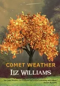 Comet Weather - Williams Liz