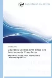 Courants secondaires dans des écoulements complexes - SOUALMIA-A