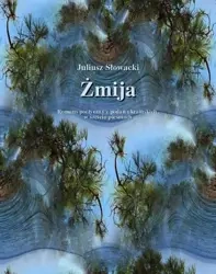 eBook Żmija. Romans poetyczny z podań ukraińskich, w sześciu pieśniach - Juliusz Słowacki epub mobi