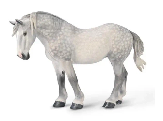 Klacz percheron siwa jabłkowita - Collecta