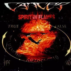 Spirit In Flames, CD
