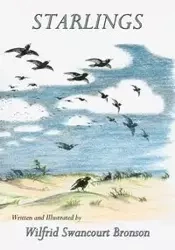 Starlings - Bronson Wilfrid Swancourt