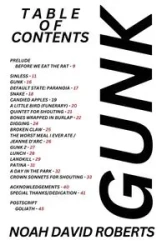 GUNK - Noah David Roberts