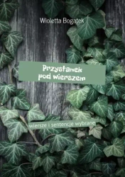Przystanek pod wierszem - Wioletta Bogatek