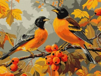 Malowanie po numerach - Ptaki w ogrodzie 30x40cm - Ideyka