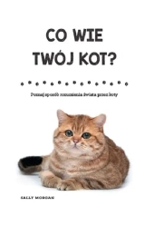 Co wie Twój kot? Poznaj sposób rozumienia świata przez koty (wyd.2) - Morgan Sally