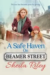 A Safe Haven on Beamer Street - Riley Sheila