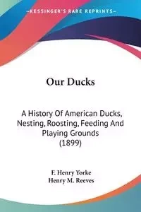 Our Ducks - Henry Yorke F.