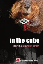 In the Cube - David Alexander Smith