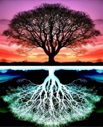 Diamentowa mozaika Drzewo i jego odbicie w negatywie 30x40cm 2001537 - Norimpex