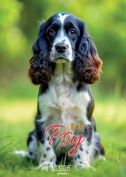 Kalendarz 2026 ścienny Psy - AVANTI