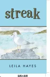 Streak - Leila Hayes
