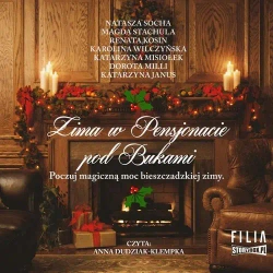 audiobook Zima w Pensjonacie pod Bukami - Natasza Socha