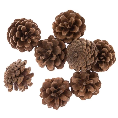 Szyszki 8szt - Dalprint dpCraft