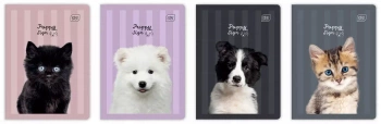 Zeszyt A5 32 Kartki Kolorowa 3-linia 70g Uv Puppy Sign Interdruk