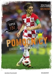 Pomocnicy. Liderzy, asystenci, robotnicy - Jarosław Kaczmarek, Ewa Olejnik
