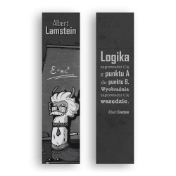 Zakładka kartonowa - Logika - Molom