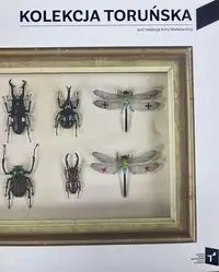 Kolekcja Toruńska Zbiory Centrum Sztuki Współczesnej Znaki Czasu w Toruniu - Praca zbiorowa