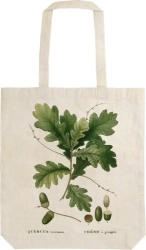 Torba bawełniana STBAG06 Liść dębu Shopperka - Skona Ting