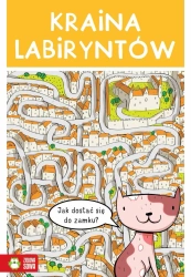 Kraina labiryntów - praca zbiorowa