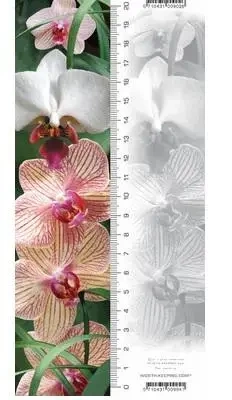 Zakładka 3D Orchidea - Worth Keeping