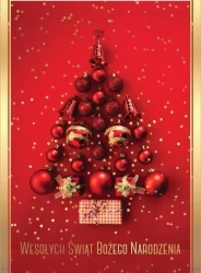 Karnet B6 PP-2124 Boże Narodzenie - Kukartka