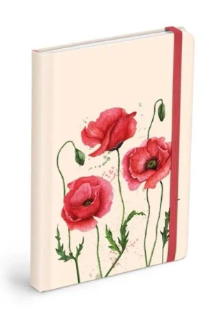 Brulion z gumką - maki 120K gładki - MFP