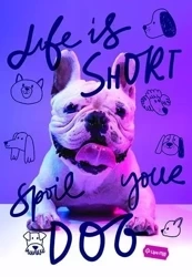 Zeszyt A4/60K kratka Basic mix (10szt) MAR MAR - MAR MAR