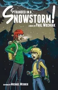 Stranded in a Snowstorm! - Paul Wozniak