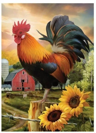 Diamentowa mozaika - Kogut na farmie - Norimpex