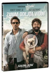 Zanim odejdą wody, DVD