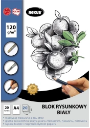 Blok rysunkowy A4/20K biały Premium - Beniamin