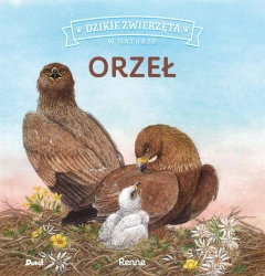 Dzikie zwierzęta w naturze. Orzeł - Renne Renne, Patrycja Zarawska