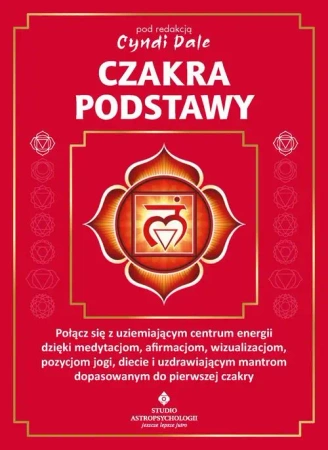 eBook Czakra podstawy - Cyndi Dale epub mobi