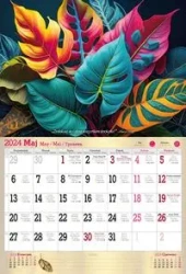 Songs In The Key of MP3