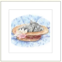 Karnet 16x16cm + koperta Kot rysowany - DaVinci