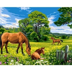 Malowanie po numerach 40x50cm Konie na łące - Koh-I-Noor