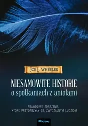 Niesamowite historie o spotkaniach z aniołami - Joe L. Wheeler