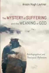 The Mystery of Suffering and the Meaning of God - Hugh Laytner Anson