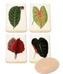 Mydełko ozdobne zapach brzoskwini - Skona Ting