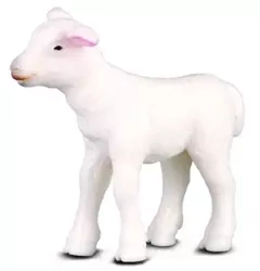Jagnię stojące - Collecta